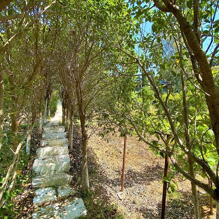 Ramo'S Green Beachside Retreat - Cozy 2 Bedroom Home Vlorë Esterno foto