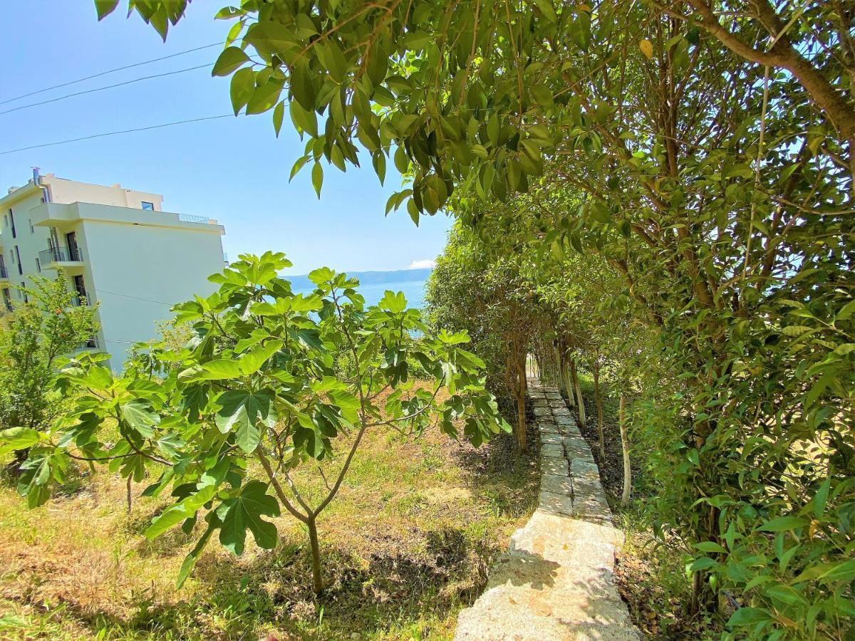 Ramo'S Green Beachside Retreat - Cozy 2 Bedroom Home Vlorë Esterno foto