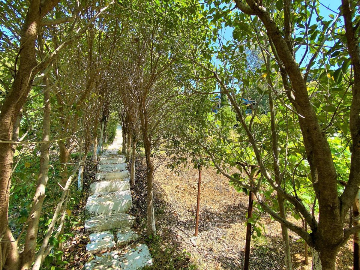 Ramo'S Green Beachside Retreat - Cozy 2 Bedroom Home Vlorë Esterno foto